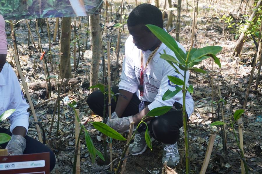 Tree planting community activity